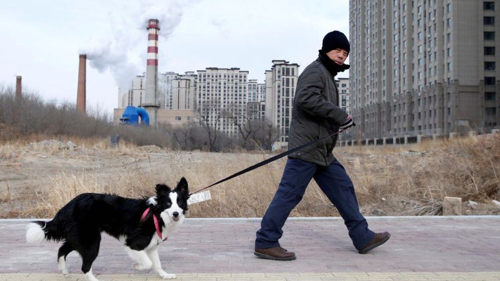 Мужчина выгуливает собаку в Харбине, северный Китай