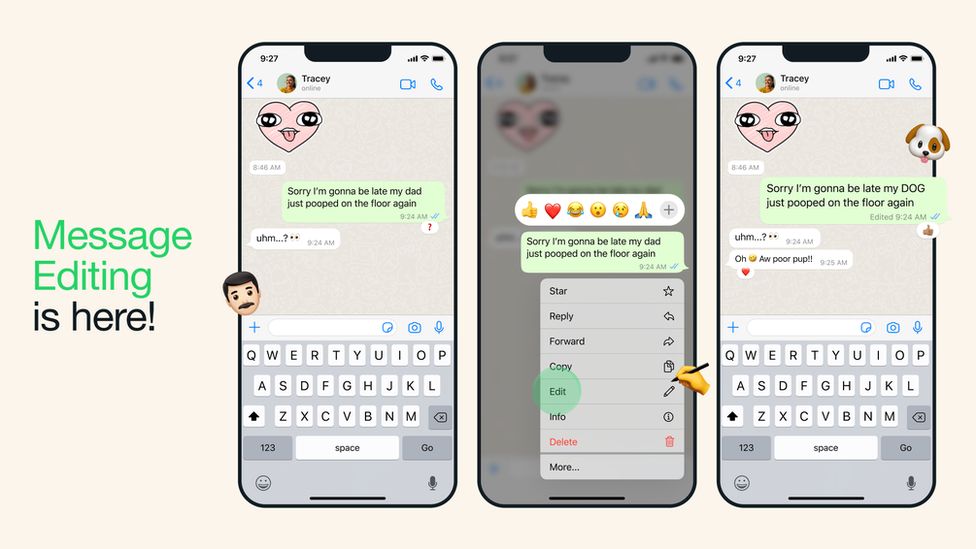 Hapat për të modifikuar një mesazh të ndarë nga WhatsApp.