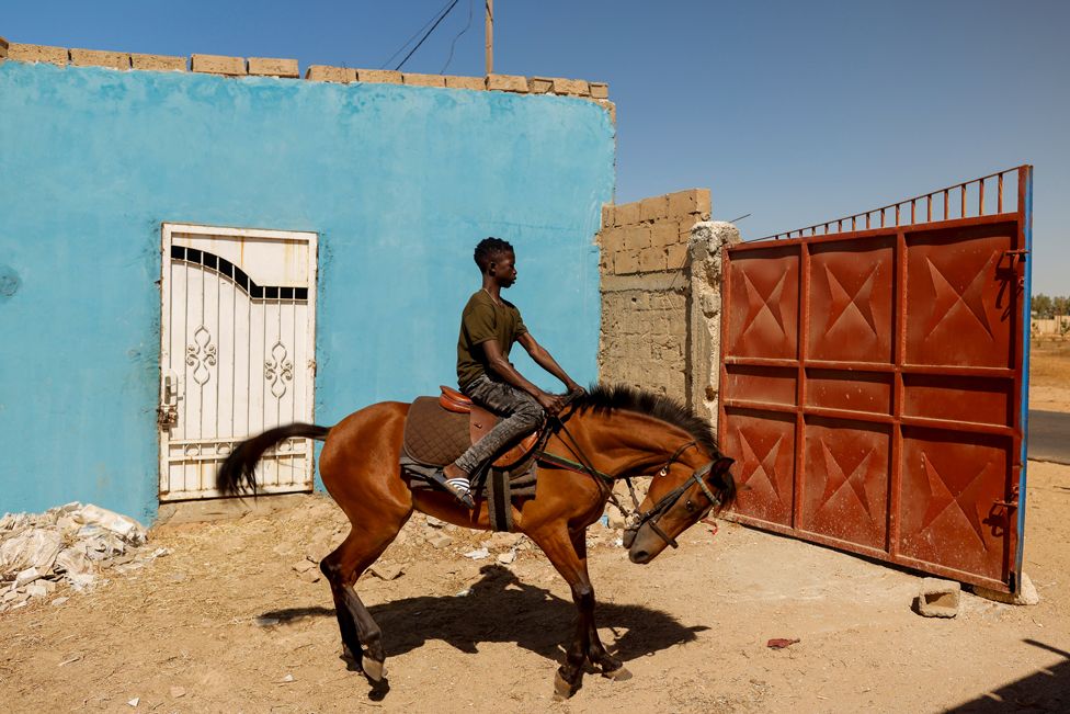 Fallou Diop rides a young mare, called Raissa Betty, out of the Lambafar stable, in Niaga, Senegal, 27 January 2021