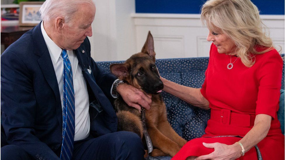 Commander being cuddled by the Bidens