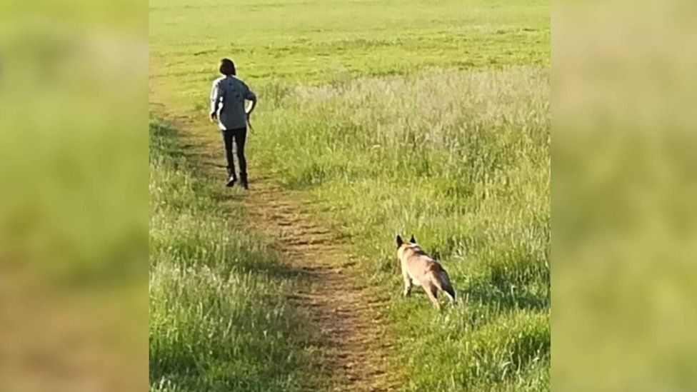Jogger attacked by 'out of control' dog in York police BBC News