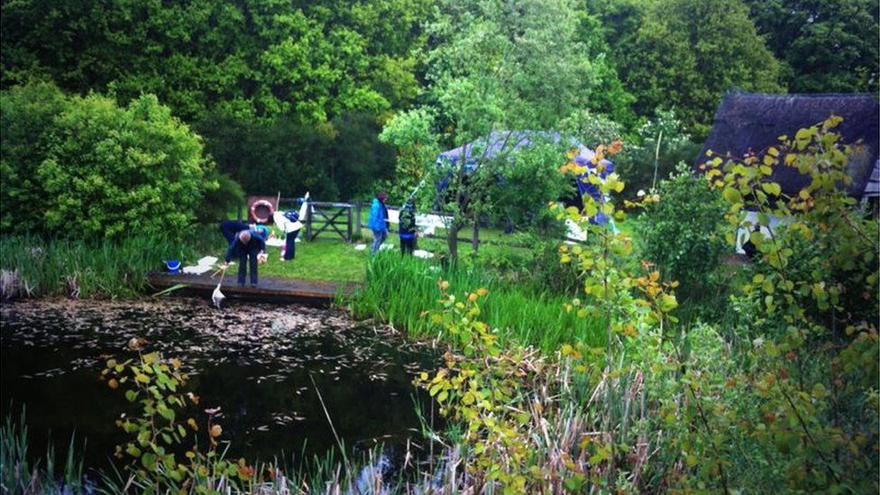 The wildlife area at the 2013 Suffolk Show