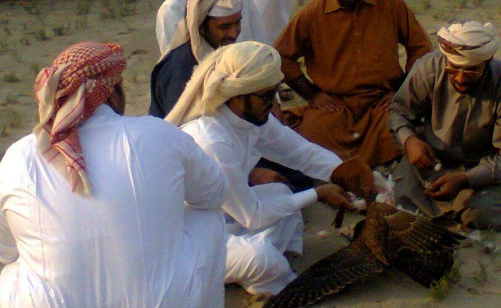A picture from a hunt in 2015 in the Khushab district area