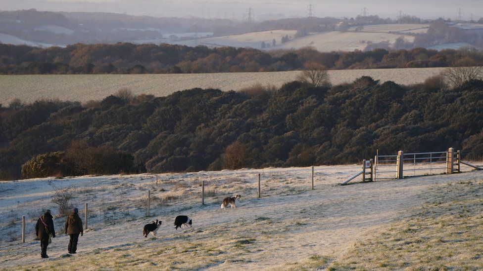 People walk their dogs on Butser Hill in Hampshire