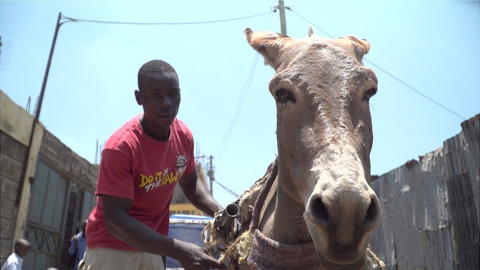Anthony Maupe Wanyama with his rented donkey