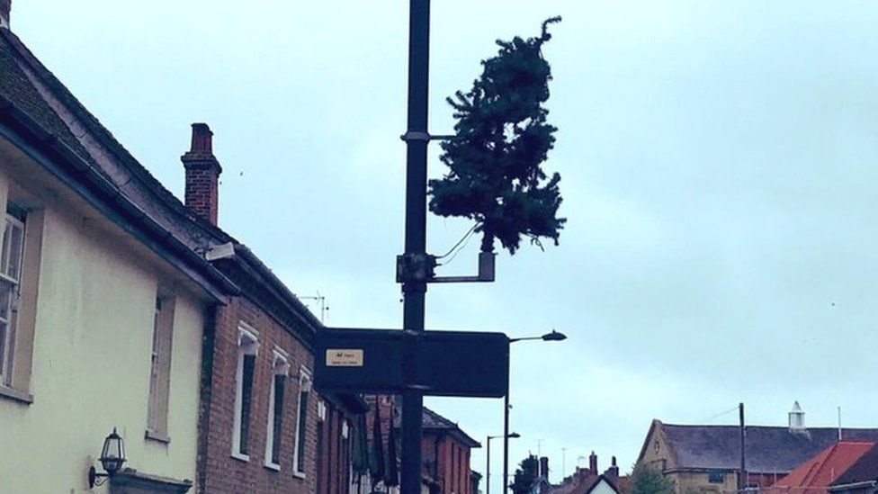 Christmas tree on lamp-post