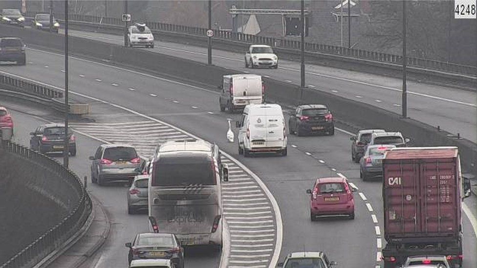 Swan Brings M4 Motorway Traffic To Halt Near Newport BBC News swan-brings-m4-motorway-traffic-to-halt-near-newport-bbc-news