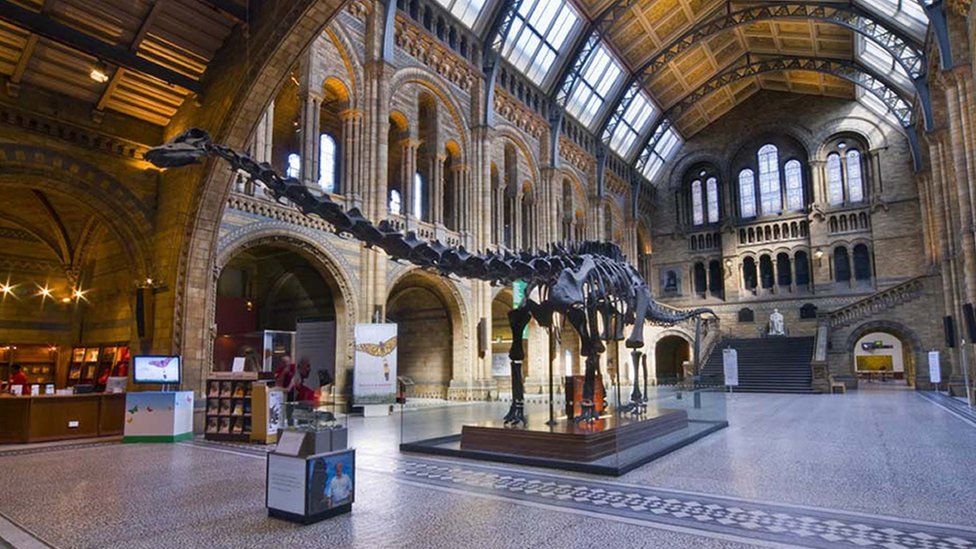 Undated handout photo of Dippy the diplodocus at the Natural History Museum
