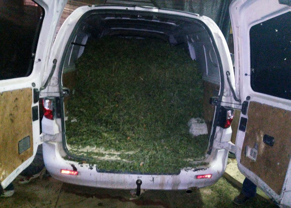 Cannabis carelessly loaded into van