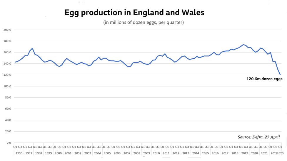 Egg shortages Warning shortfall could last another year BBC News