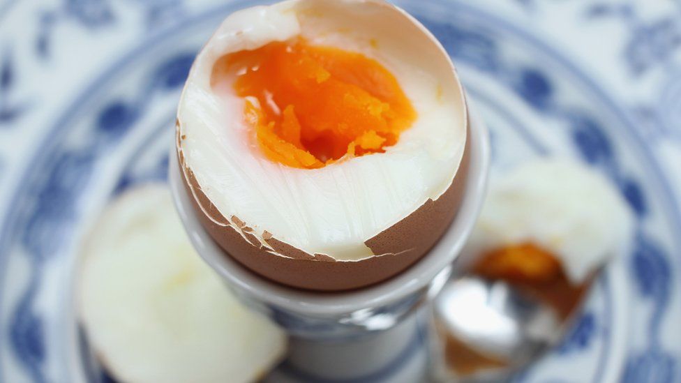 An egg yolk