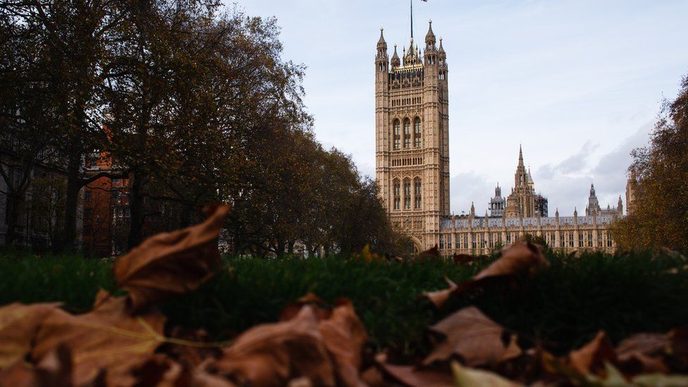 Houses of Parliament seen from autumnal Victoria Tower Gardens