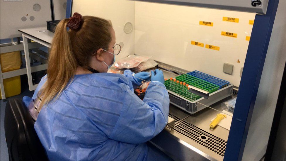 Лаборант обрабатывает образцы для ПЦР в лаборатории Amazon по тестированию Covid в Манчестере