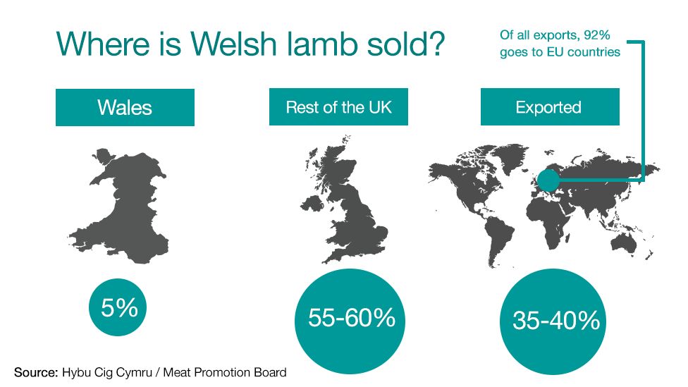 A chart showing where Welsh lamb is sold. Five per cent is sold in Wales, 55 to 60 per cent to the rest of the UK and 35 to 40 per cent is exported