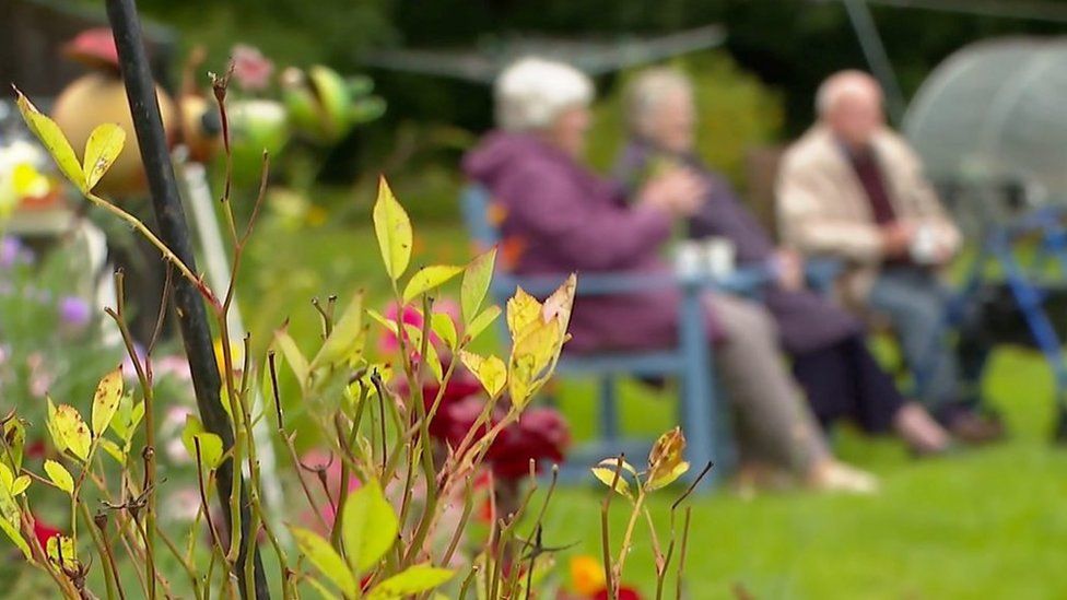 people sitting in a garden