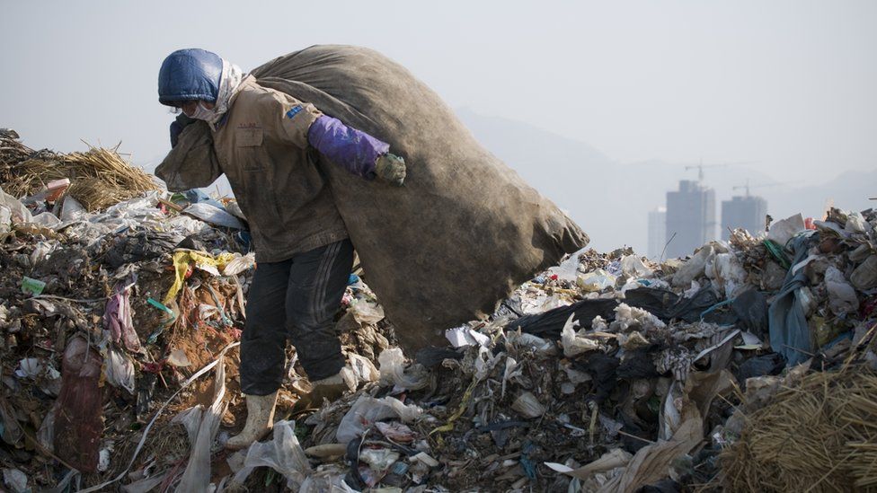 A woman collecting plastic at a dump in China. Millions of tonnes of plastics are wasted every year.