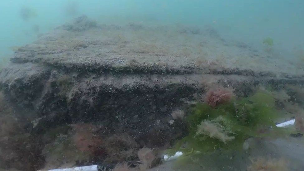 HMS Invincible shipwreck: Rudder found on Solent seabed - BBC News