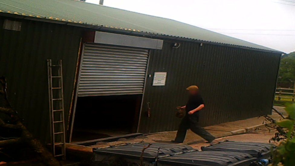 Man apparently carrying fox cub into a shed