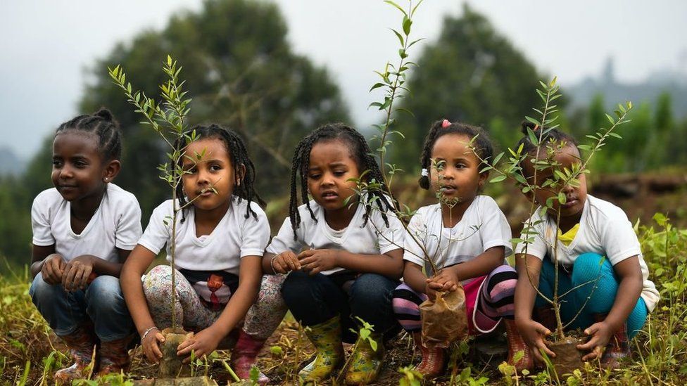 Ethiopian children planting tree seedlings