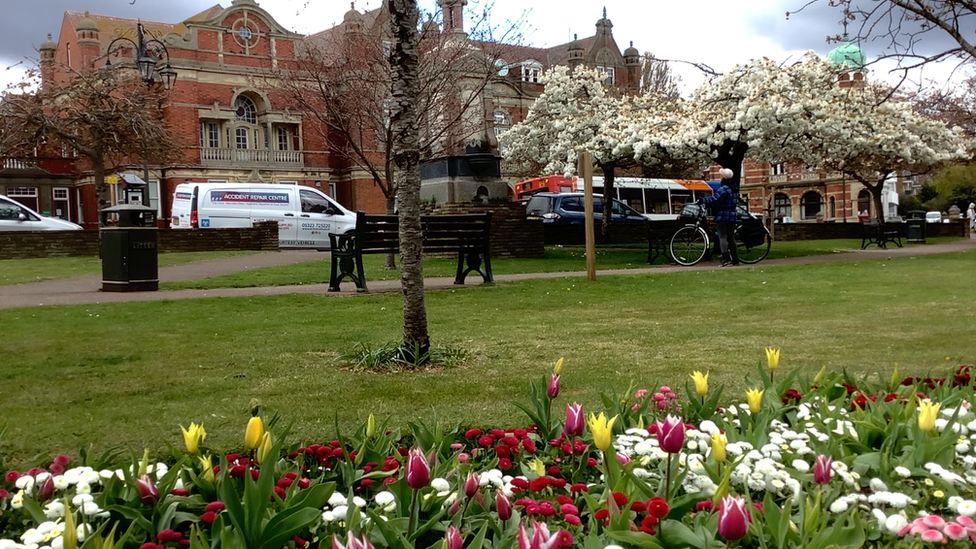 Flowerbeds outside Bexhill Town hall