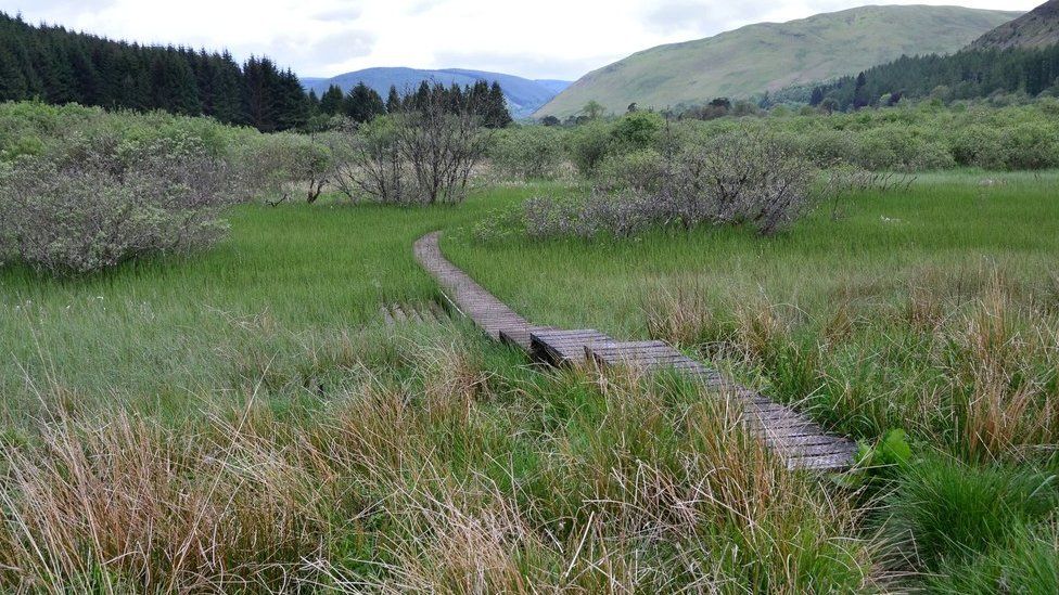The Ettrick Marshes are regarded as an important habitat for wildlife.