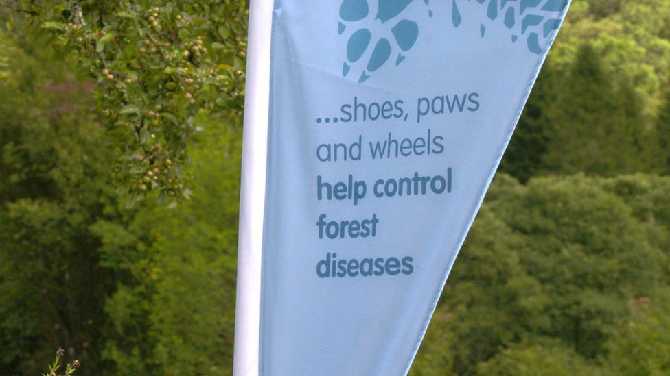 Sign fighting tree disease