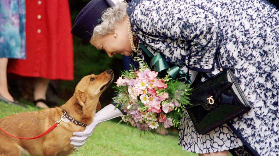 Queen with corgi