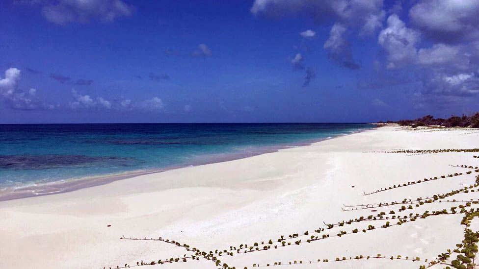 Beach in Barbuda