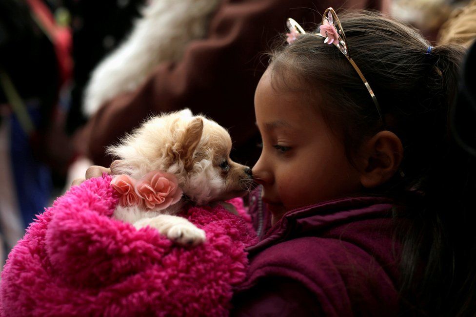 A girl interacts with her pet while waiting for a blessing.
