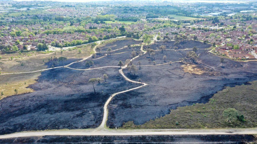 An aerial view of the charred remains of Canford Heath near Poole