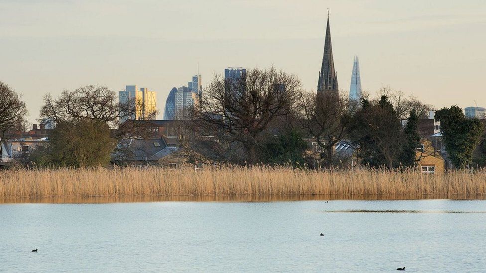 Woodberry Wetlands with a view of the City behind