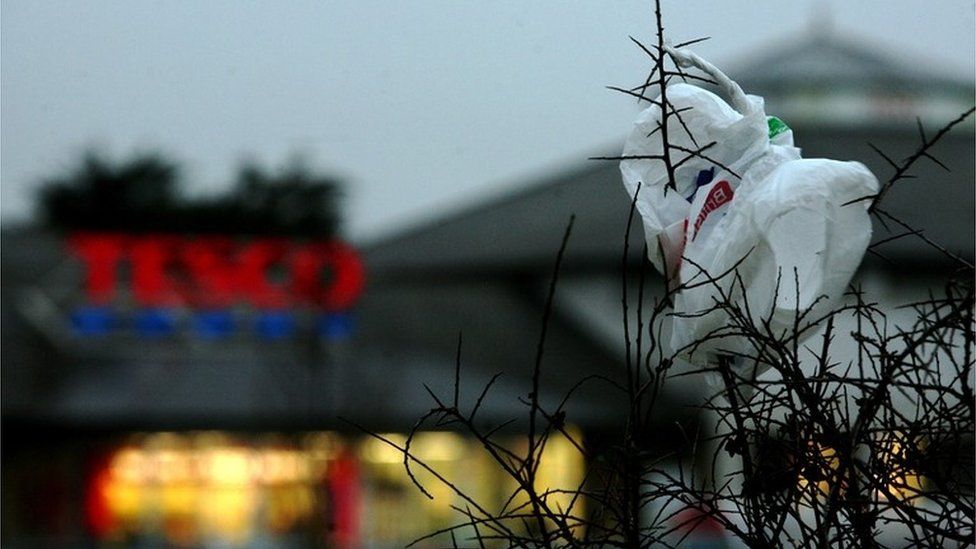 A plastic bag wrapped round a tree in the foreground of a Tesco sign