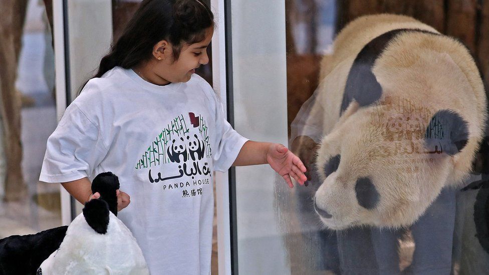 A child interacting with a Chinese giant panda through glass