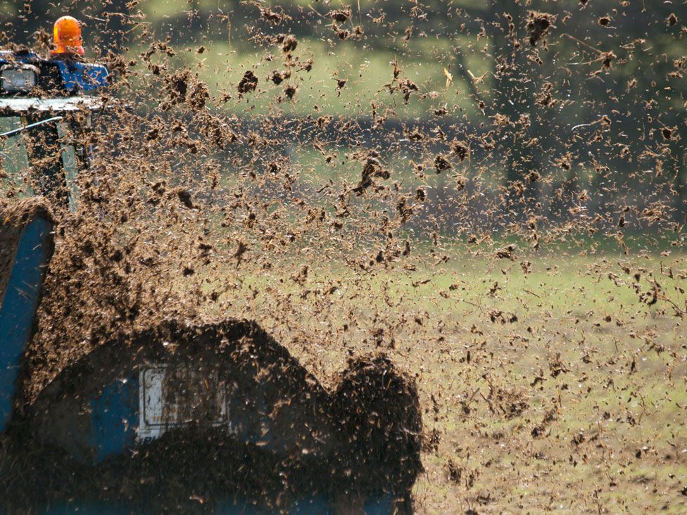 Farmer muck spreading