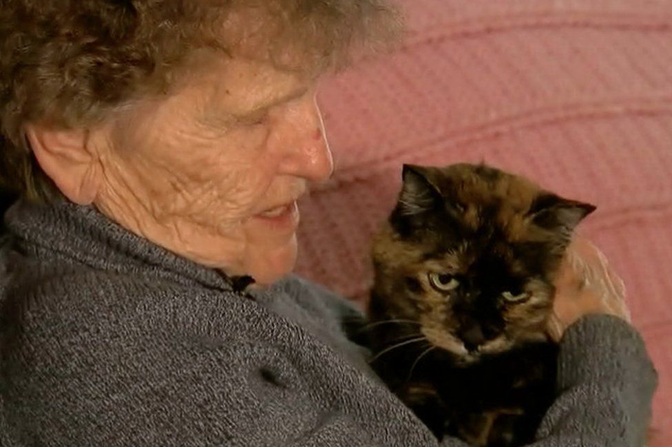 Her cat, Nikki, helped to stave off hypothermia and frostbite