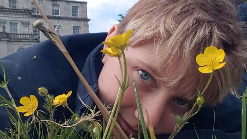 A person looking through some buttercups