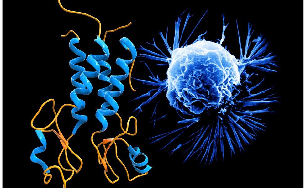 Artwork showing a molecular model of the BRCA1 protein (left) and a cancer cell (right).