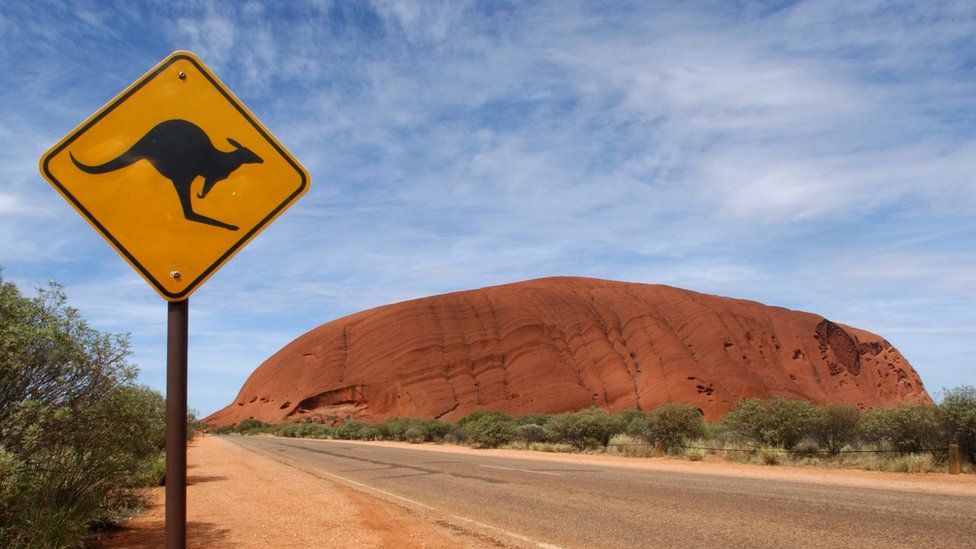 Uluru, with a kangaroo warning sign in the foreground, along a road