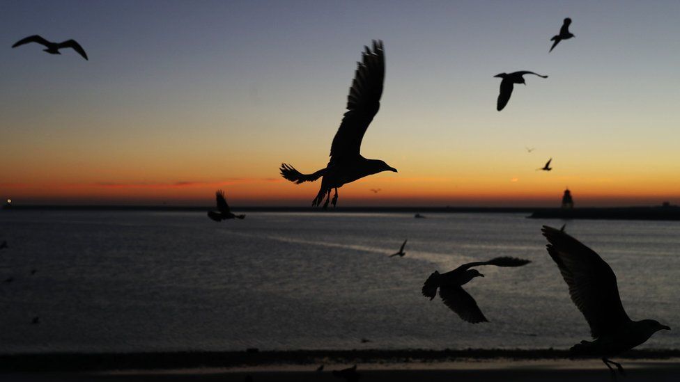 England's blanket of ice and golden sunrise - BBC News