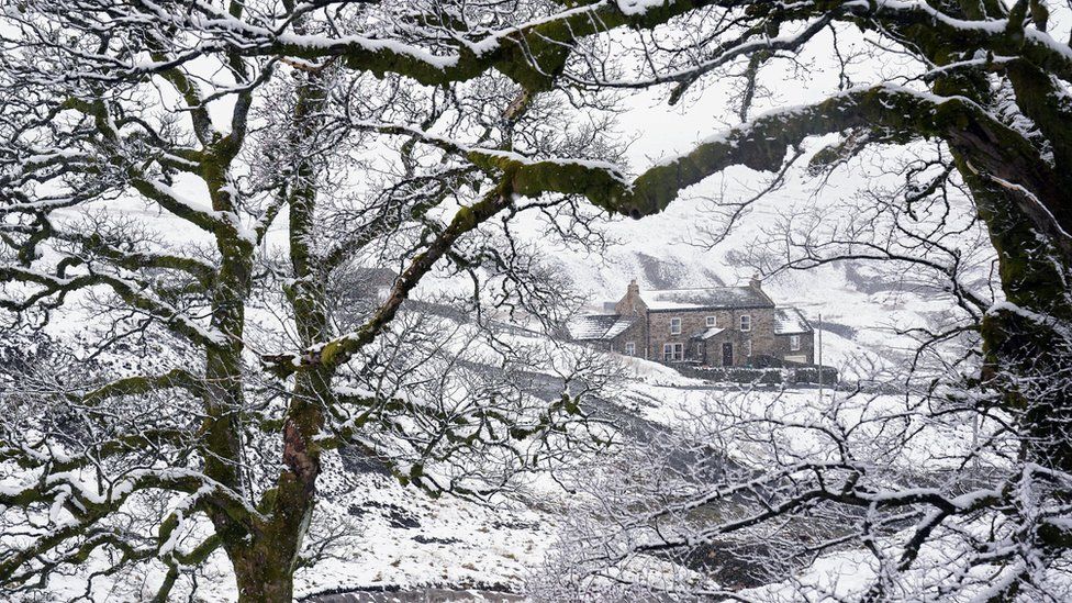 Farmhouse in the snow framed by tree