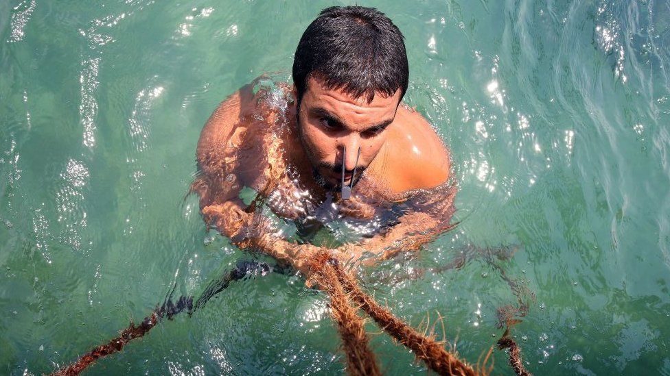A Kuwaiti diver searches for shells containing pearls during the annual pearl diving season on July 30, 2019 off the coast of the port city of Khairan, 100 kms (62miles) south of Kuwait City.