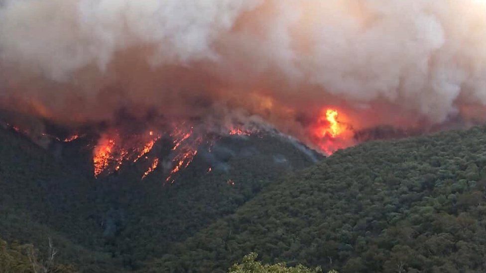Bush fires in Australia