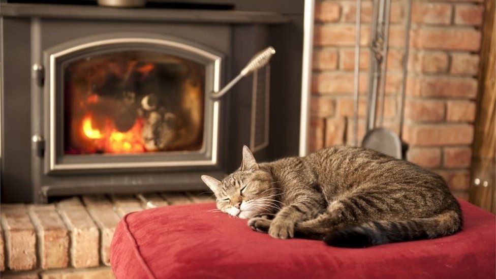 cat in front of wood burning stove