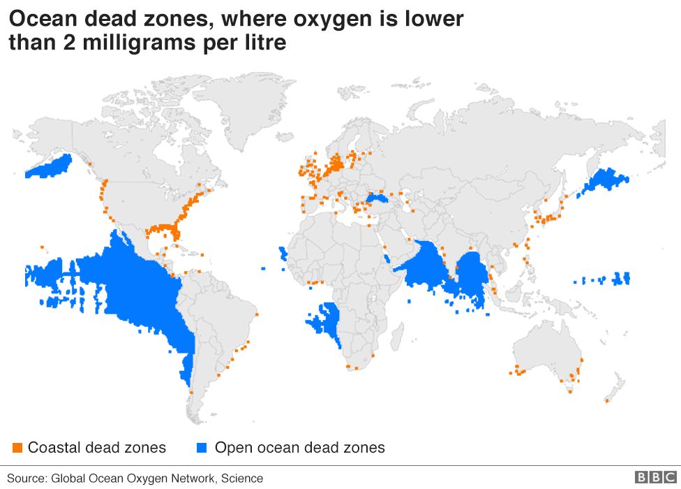 World map of the ocean and coastal dead zones