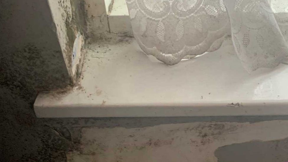 mould in Rob and Liz Gordon's flat