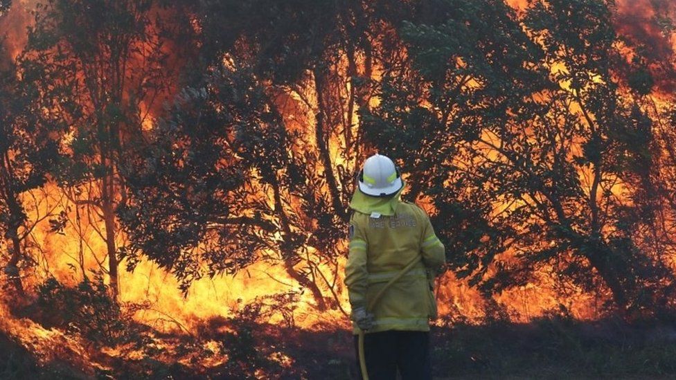 A firefighter works to contain a bushfire in Angourie, New South Wales, Australia, 10 September 2019.