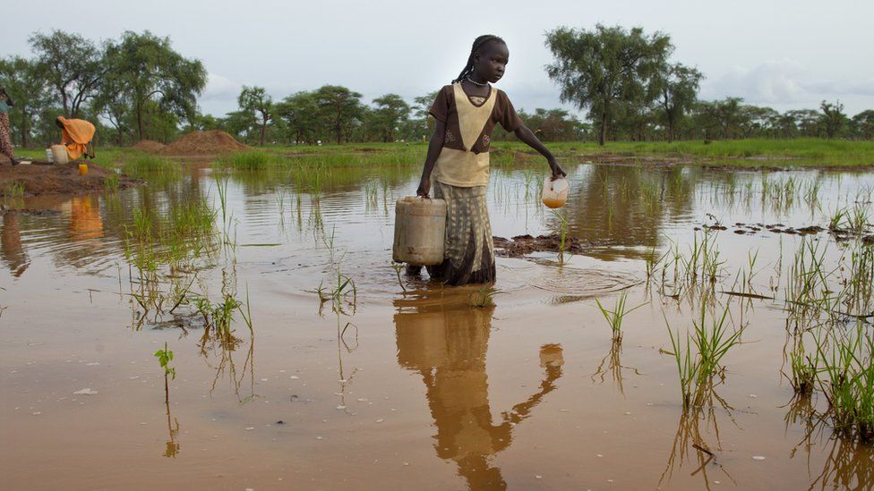 Woman collecting water from muddy pond