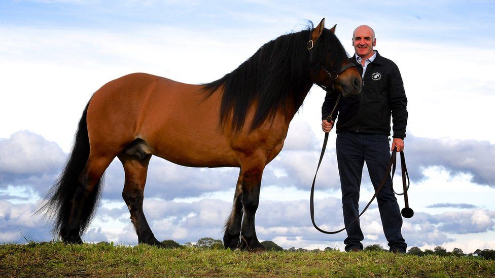 Tullis Matson and a highland pony
