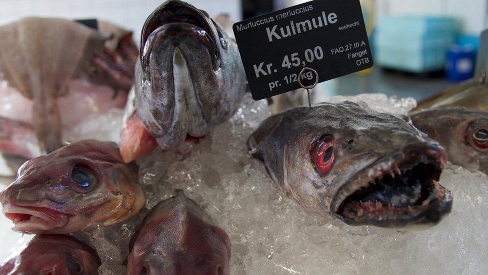 Fish on sale at Skagen Frisk fishmongers