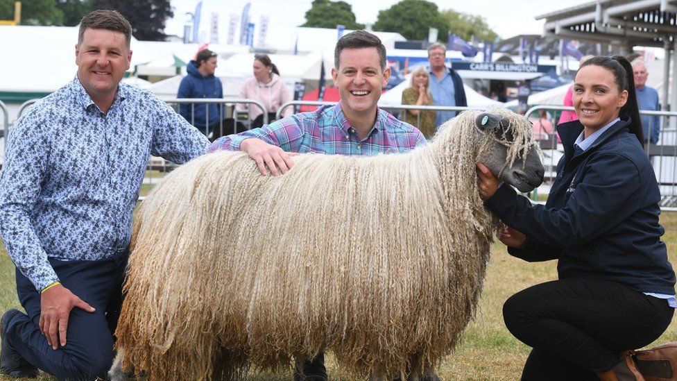 TV host Matt Baker behind a long-haired sheep with two exhibitors